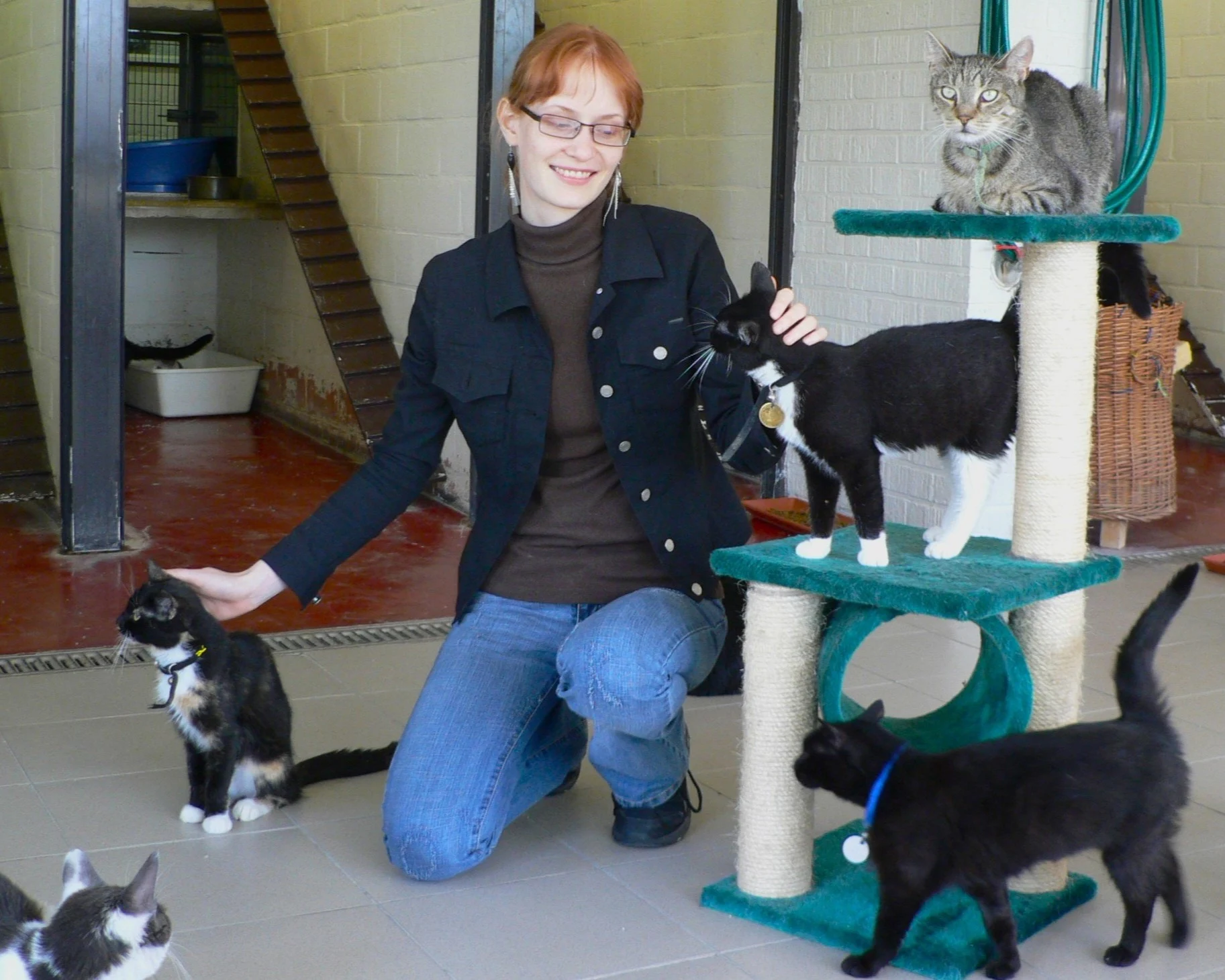 A cat connected to my animal-protection journey